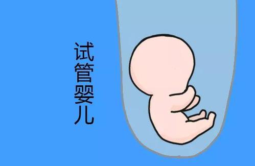 关于木棉医疗中心